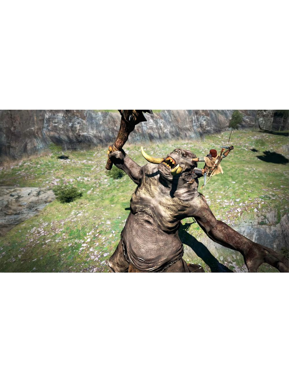 Dragons Dogma Dark Arisen