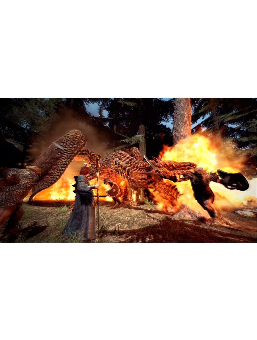 Dragons Dogma Dark Arisen